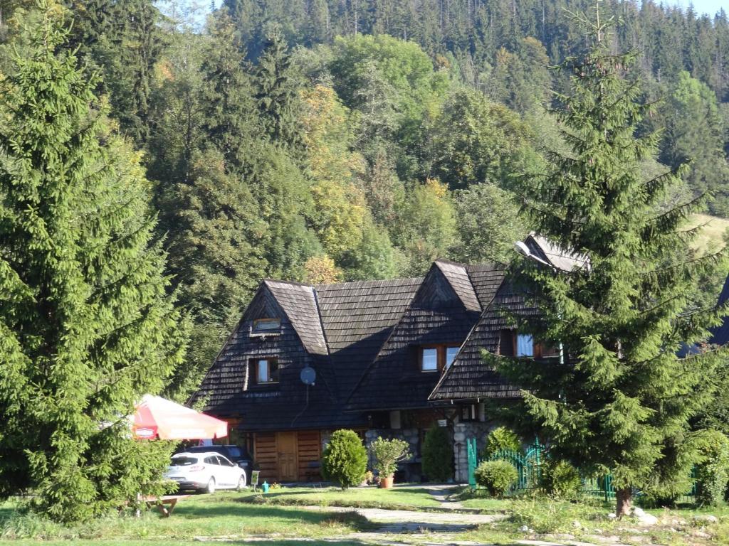 Camping Harenda Pokoje Goscinne I Domki Zakopane Quarto foto